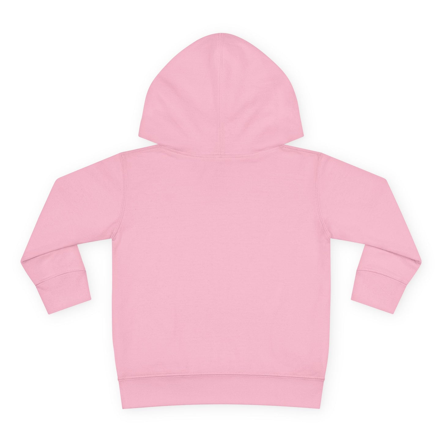 Lucky Little Dragon π Toddler Pullover Hoodie