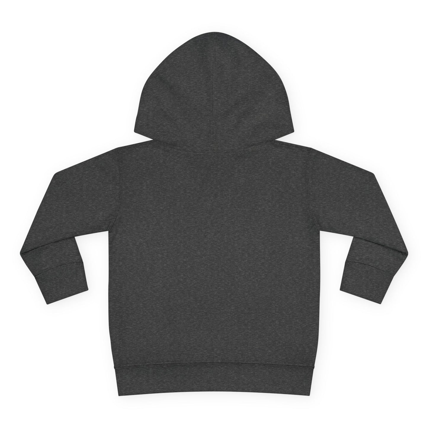 Lucky Little Dragon 🍀 Toddler Pullover Hoodie
